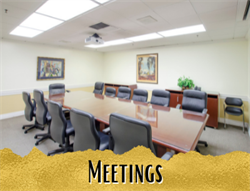 Meetings_1